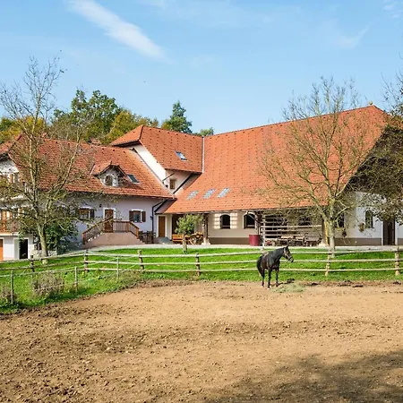 Zynga - Stud Farm Apartment