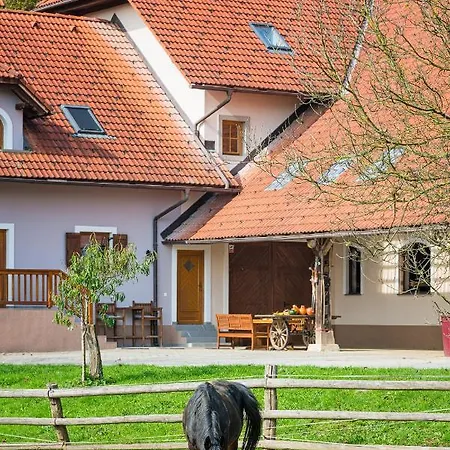 Apartment Zynga - Stud Farm