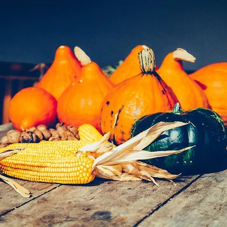 Zynga - Stud Farm Διαμέρισμα