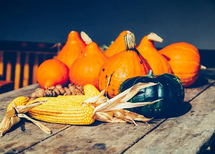 Zynga - Stud Farm Apartment